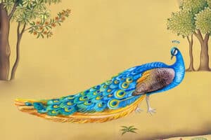Chim CÔNG trong phong thủy: Biết dùng đúng cách vừa may mắn vừa dồi dào tài lộc, làm ăn tấn tới