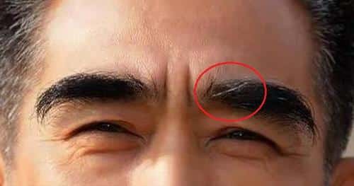 Dau long may moc soi dai