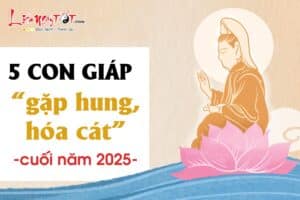 Đón PHƯỚC LÀNH từ Bồ Tát, 5 con giáp gặp hung hóa cát cuối năm 2025