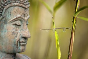 Gần đây mọi việc không suôn sẻ? hãy làm theo 1 trong 3 cách giải quyết khó khăn theo Đức Phật, chắc chắn sẽ cải vận!