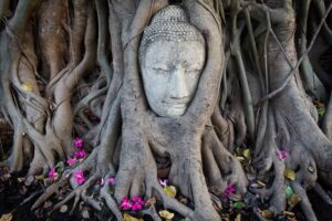 Phật dạy: 10 hành vi tiêu hao âm đức mỗi ngày khiến phước lộc tiêu tán - Ai cũng phạm phải ít nhất 3 điều!