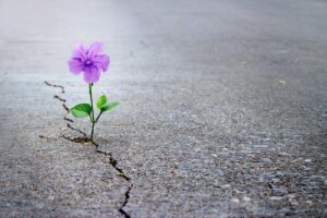 Nghịch cảnh không phải là bất hạnh, đôi khi đó chính là món quà mà cuộc sống ban tặng